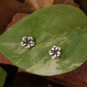 "Tiny Plumeria Post  Earrings" Sterling Silver Jewelry by Cherie Danielle of Rowe Gallery