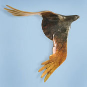 'Spirit Guide' Bronze Sculpture by Joshua Tobey of Rowe Gallery