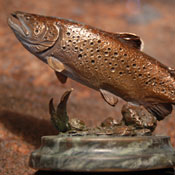 'Brown Trout' Bronze Sculpture by Ken Rowe of Rowe Gallery