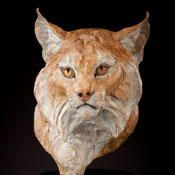 'Cantankerous' Bronze Sculpture by Ken Rowe of Rowe Gallery