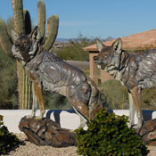 Image Coming Soon of 'Desert Silhouettes'