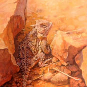 Primrose and Prairie Dog