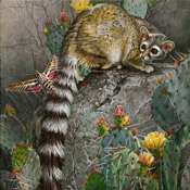 Primrose and Prairie Dog