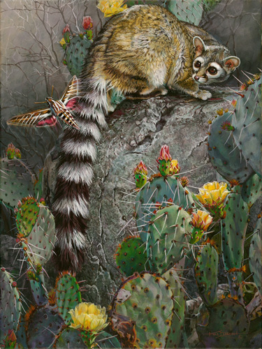 Kim Diment, Ringtail and Sphinx