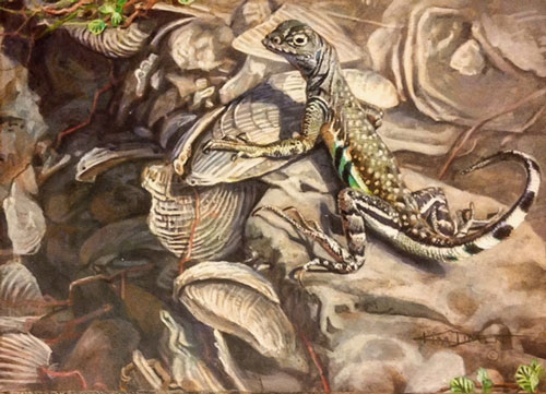 Kim Diment, Tricks of the Tail