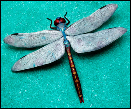 "Odonata" Bronze Sculpture by Kim Kori of Rowe Gallery