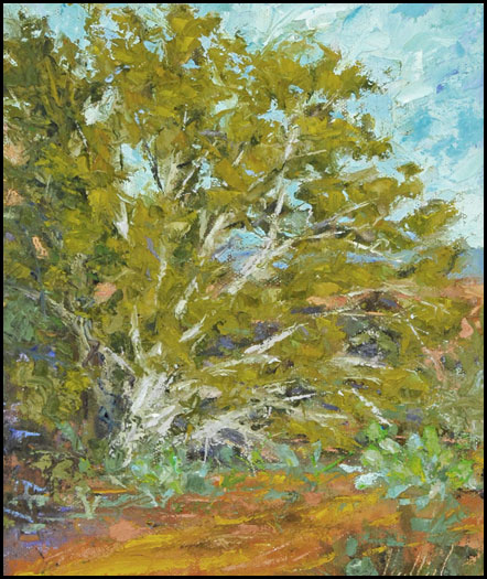 "Sun Play" Oil Painting by Lynn Heil of Rowe Gallery
