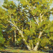 "Sunday Morning Oak Creek" Oil Painting by Lynn Heil of Rowe Gallery