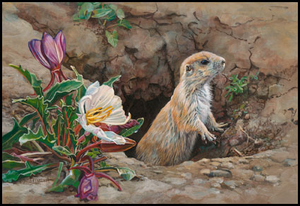 "Primrose and Prairie Dog" Acrylic Painting by Kim Diment of Rowe Gallery