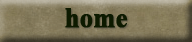 home button